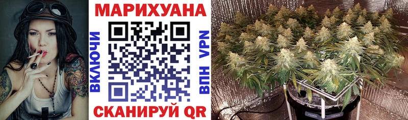 Бошки марихуана AK-47  MEGA tor  Выборг  цены наркотик 